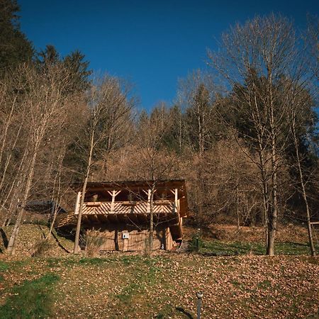 Hiska Na Samem V Slovenj Gradcu Словени Градец Екстериор снимка